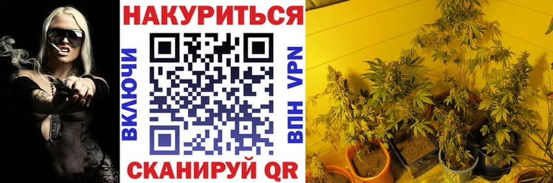 Виды наркоты Ульяновск Конопля  Псилоцибиновые грибы  ГАШИШ  МЕФ 