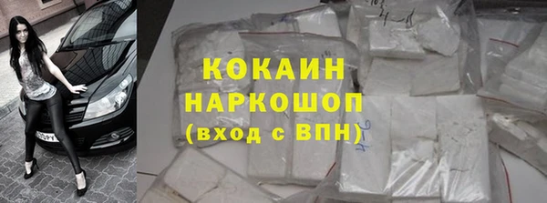 ГАЛЛЮЦИНОГЕННЫЕ ГРИБЫ Богданович