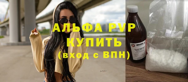 ГАЛЛЮЦИНОГЕННЫЕ ГРИБЫ Богданович