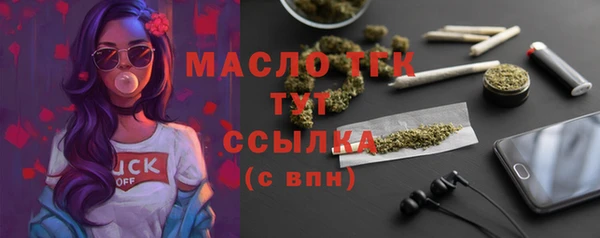 ГАЛЛЮЦИНОГЕННЫЕ ГРИБЫ Богданович
