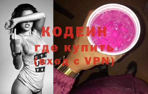 ГАЛЛЮЦИНОГЕННЫЕ ГРИБЫ Богданович