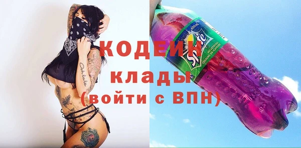 ГАЛЛЮЦИНОГЕННЫЕ ГРИБЫ Богданович