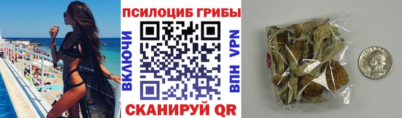 Псилоцибиновые грибы Psilocybe  Ульяновск 